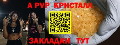 спиды Кимры